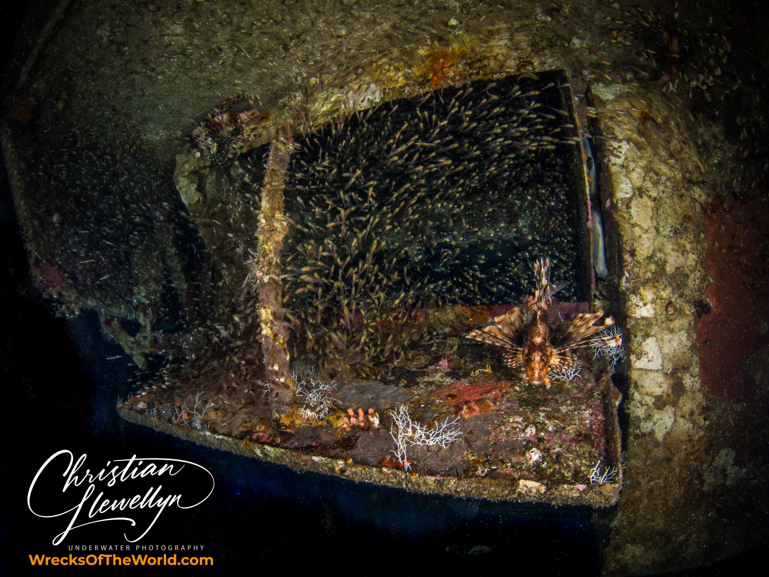 Mohamed Hasabella Wreck Dive