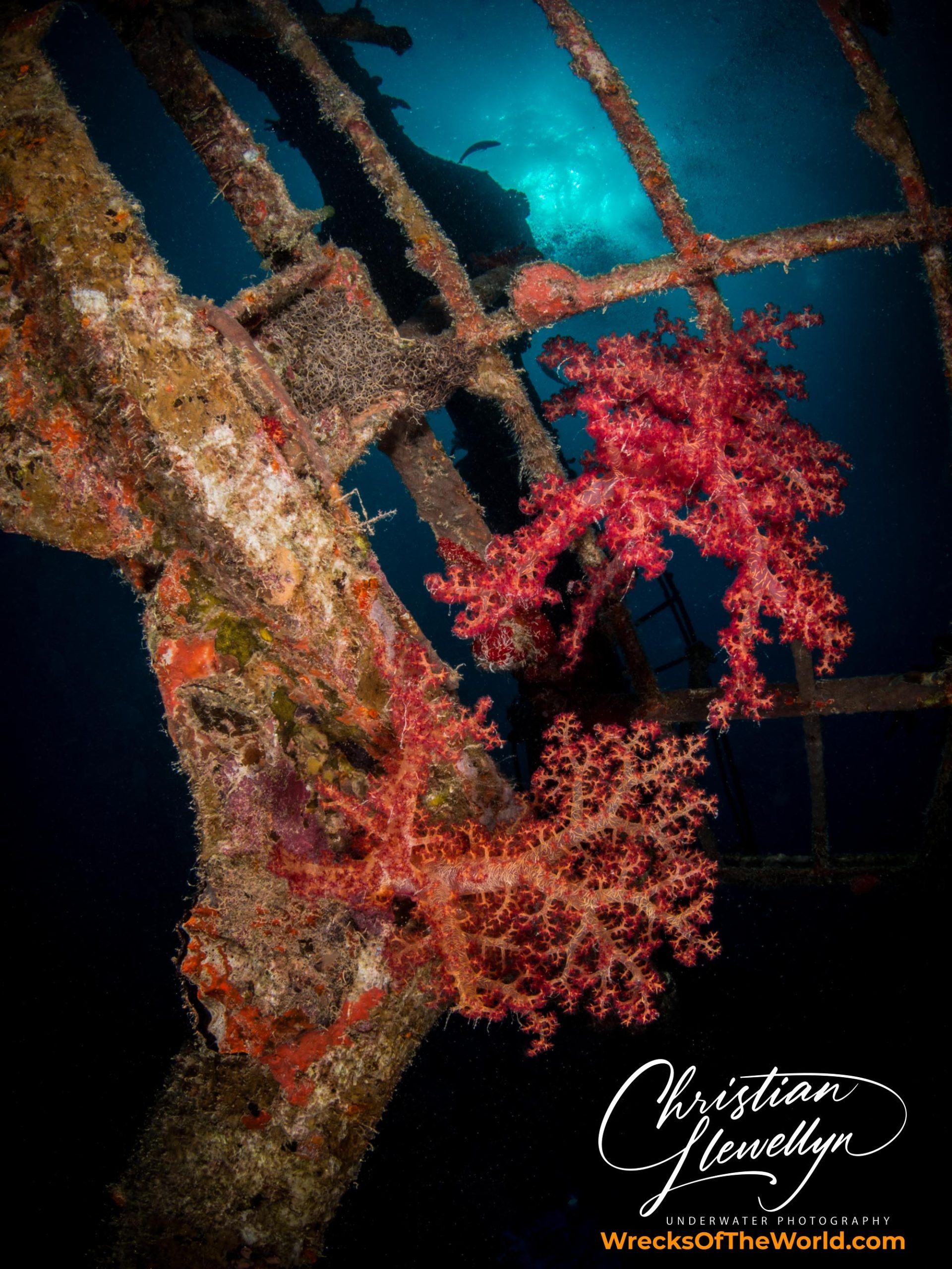 Mohamed Hasabella Wreck Dive