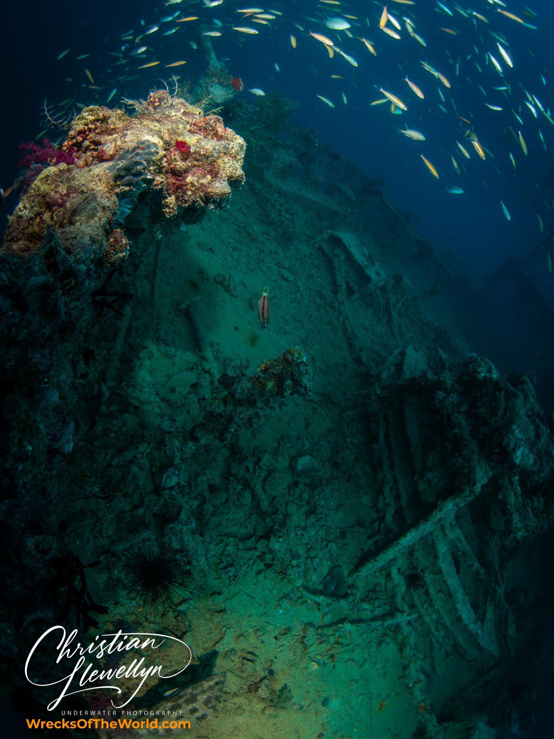SS Rosalie Moller
